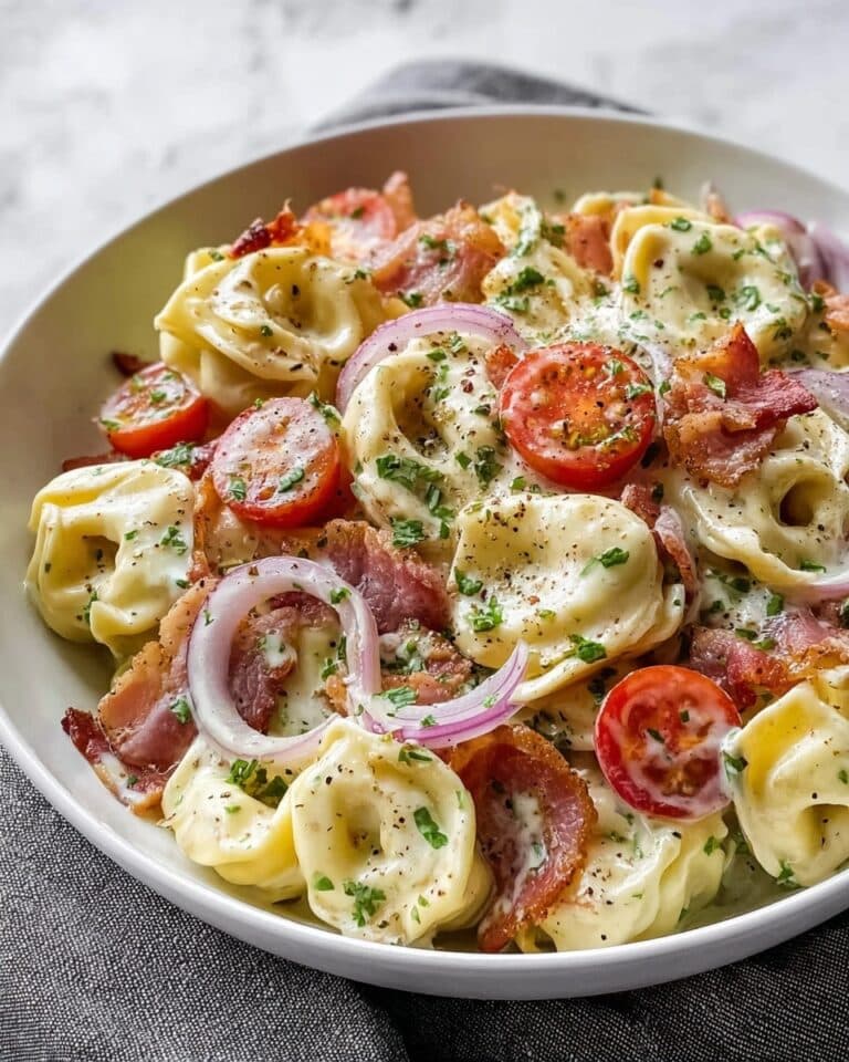 Fresh Grinder Tortellini Salad Recipe