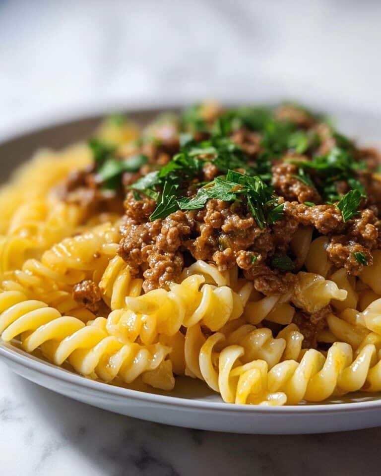 Beef and Rotini in Garlic Parmesan Sauce Recipe